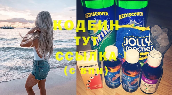 ГАЛЛЮЦИНОГЕННЫЕ ГРИБЫ Гусь-Хрустальный