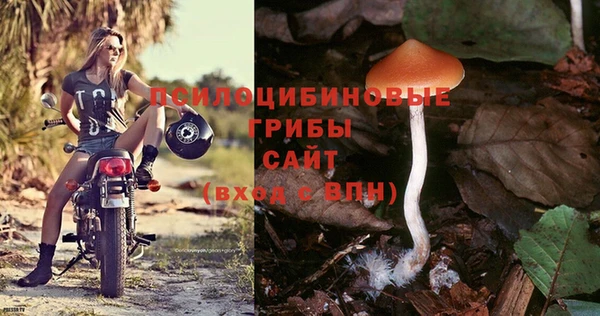 спиды Гусиноозёрск