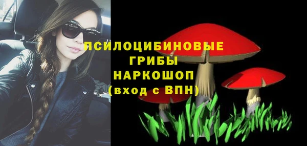 ГАЛЛЮЦИНОГЕННЫЕ ГРИБЫ Гусь-Хрустальный