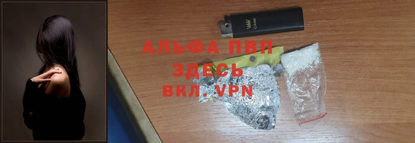 ГАЛЛЮЦИНОГЕННЫЕ ГРИБЫ Гусь-Хрустальный