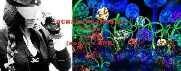 ГАЛЛЮЦИНОГЕННЫЕ ГРИБЫ Гусь-Хрустальный