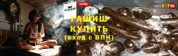 мяу мяу мука Гусев