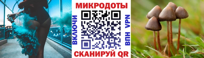 Галлюциногенные грибы GOLDEN TEACHER  купить   Чкаловск 